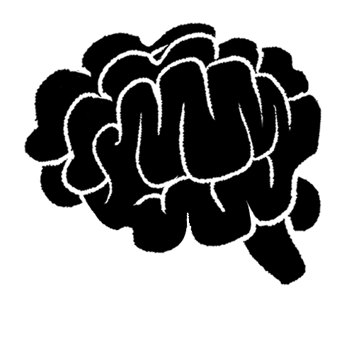 Brain